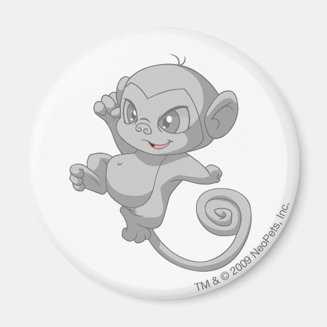 Íman Mynic Silver (Frente)