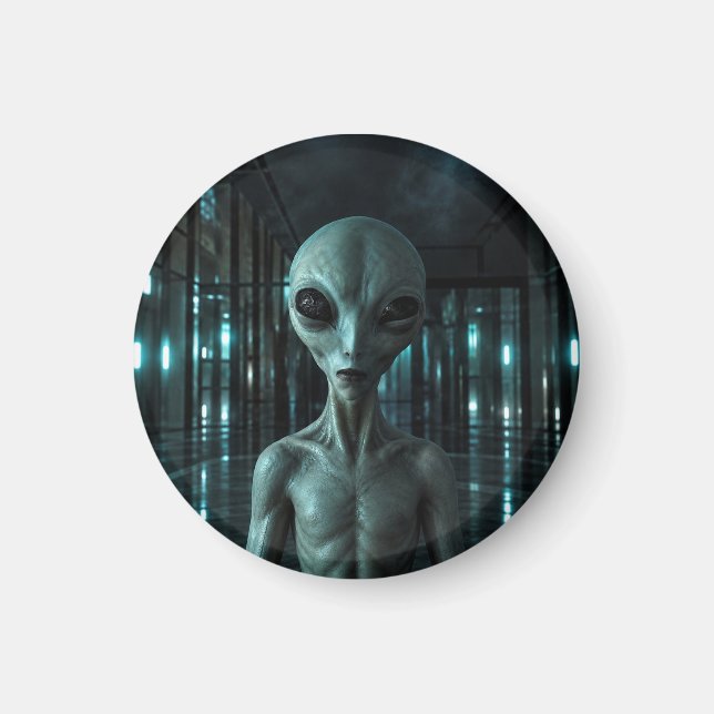 Íman Mysterious Grey Alien (Frente)