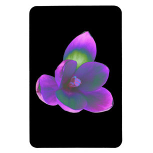Íman Mystic Beautic Crocus Flower Premium Magnet