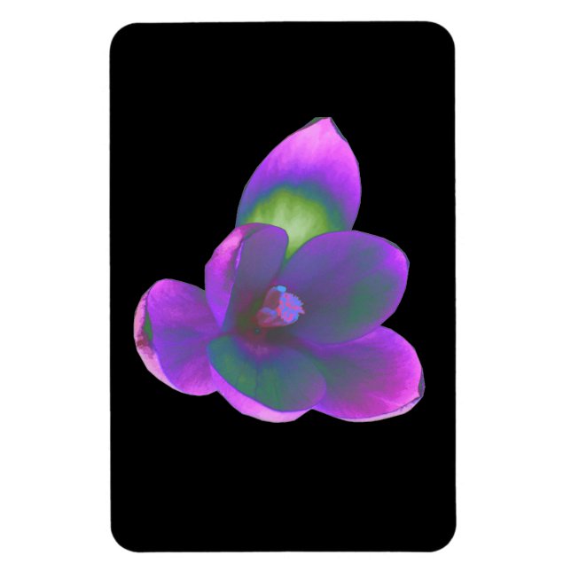 Íman Mystic Beautic Crocus Flower Premium Magnet (Vertical)