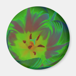 Íman Mystic Green Tulip Magnet