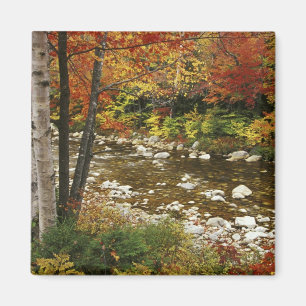 Íman N.A., EUA, New Hampshire, White Mountains,
