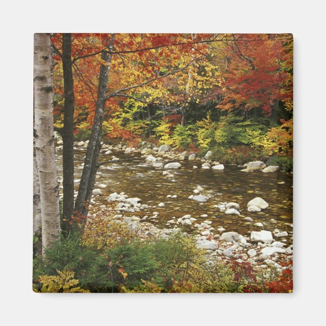 Íman N.A., EUA, New Hampshire, White Mountains, (Frente)