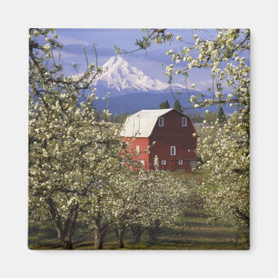 Íman N.A., EUA, Oregon, Condado de Hood River. Vermelho