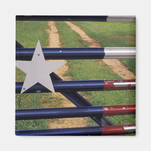 Íman N.A., EUA, Texas, Lago Buchanan, bandeira do Texas