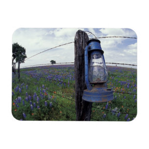 Íman N.A., EUA, Texas, Llano, Lanterna Azul, Carvalho
