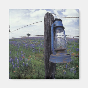 Íman N.A., EUA, Texas, Llano, Lanterna Azul, Carvalho
