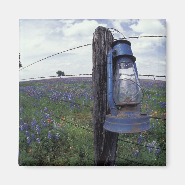 Íman N.A., EUA, Texas, Llano, Lanterna Azul, Carvalho (Frente)