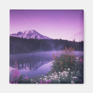 Íman N.A., EUA, Washington, Mt. Rainier Nacional