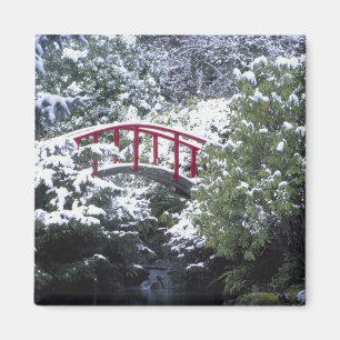 Íman N.A., EUA, Washington, Seattle. Ponte da lua em 2