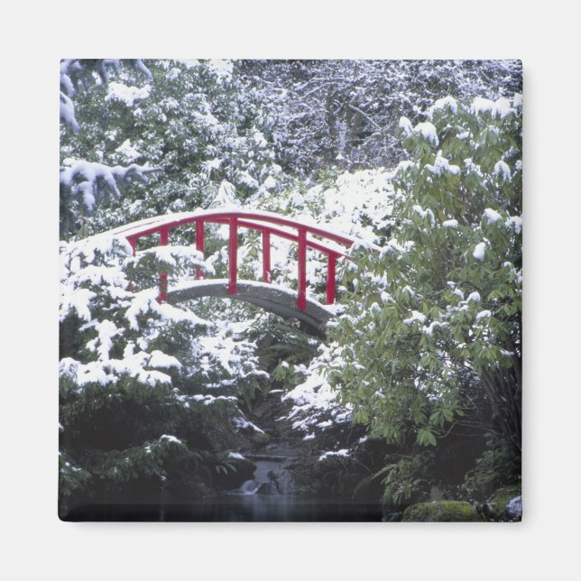 Íman N.A., EUA, Washington, Seattle. Ponte da lua em 2 (Frente)