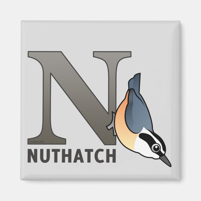 Íman N é para Nuthatch (Frente)