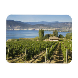 Íman NA; Canadá; Colúmbia Britânica; Vale de Okanagan;
