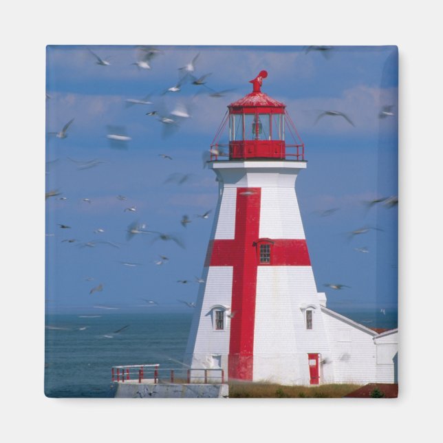 Íman NA, Canadá, Nova Brunswick, Ilha Campobello. 8 (Frente)