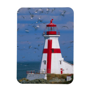 Íman NA, Canadá, Nova Brunswick, Ilha Campobello. 8