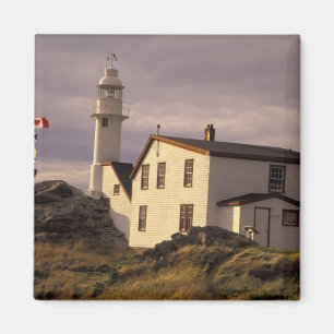 Íman NA, Canadá, Terra Nova, Lobster Cove. Lagosta