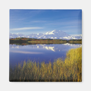 Íman NA, EUA, Alasca, Parque Nacional Denali, Mt. McKin