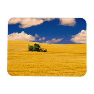 Íman NA, EUA, Estado de Washington, Região de Palouse,