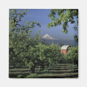 Íman NA, EUA, Oregon, perto da capa de Hood River Mt.