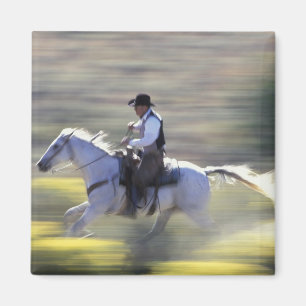 Íman NA, EUA, Oregon, Seneca, Ponderosa Ranch, Cowboy