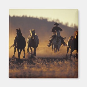 Íman NA, EUA, Oregon, Seneca, Ponderosa Ranch, Cowboy 2