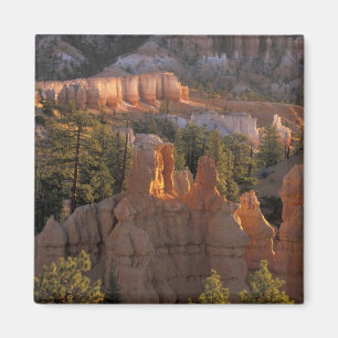 Íman NA, EUA, Utah, Parque Nacional Bryce Canyon 2