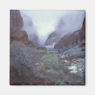 Íman NA, EUA, Utah, Zion NP, Tempestade de neve de prim