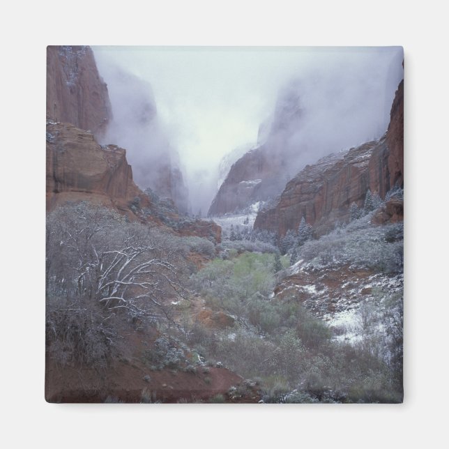 Íman NA, EUA, Utah, Zion NP, Tempestade de neve de prim (Frente)