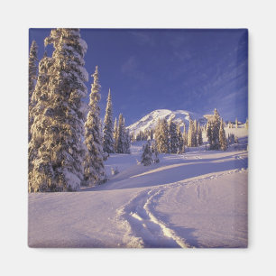 Íman NA, EUA, Washington, Mt. Rainier NP, Neve