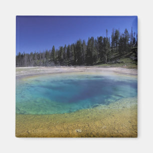 Íman NA, EUA, Wyoming, Parque Nacional de Yellowstone.