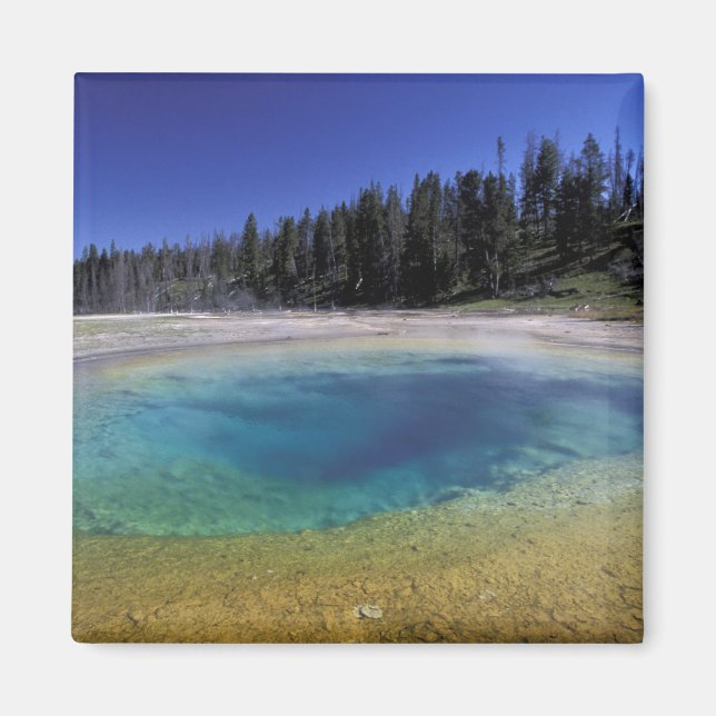 Íman NA, EUA, Wyoming, Parque Nacional de Yellowstone.  (Frente)