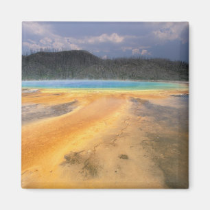 Íman NA, EUA, Wyoming, Yellowstone NP, Grand