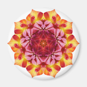Íman Na flor