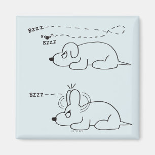 Íman Na idade de um cão