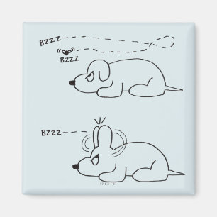 Íman Na Idade do Cão