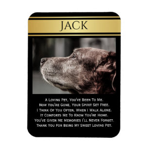 Íman Na memória de um animal de estimação perdido