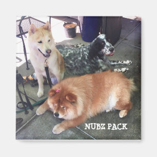 Íman NAÇÃO NUBZ. Quadrada