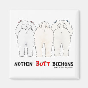 Íman Nada termina Bichons