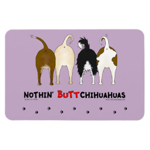 Íman Nada termina chihuahuas