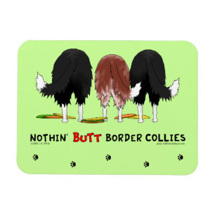 Íman Nada termina Collies de beira