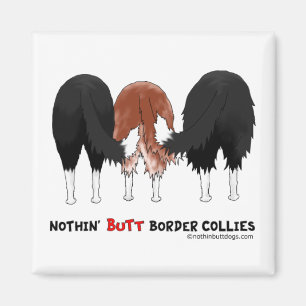 Íman Nada termina Collies de beira