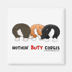 Íman Nada termina Corgis