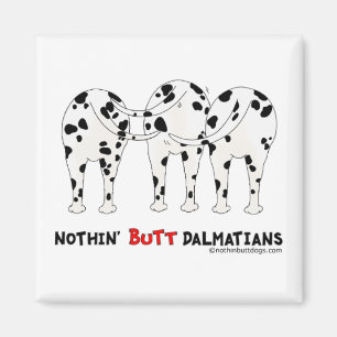 Íman Nada termina Dalmatians