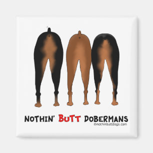 Íman Nada termina Dobermans