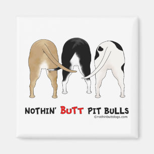 Íman Nada termina pitbull