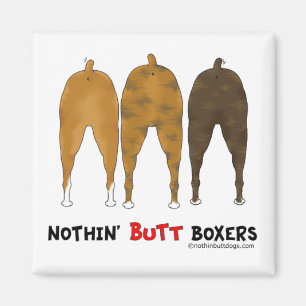 Íman Nada termina pugilistas