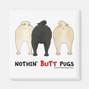 Íman Nada termina Pugs
