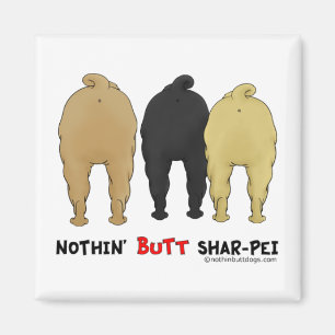 Íman Nada termina Shar-Pei