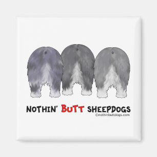 Íman Nada termina Sheepdogs
