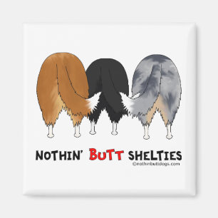 Íman Nada termina Shelties